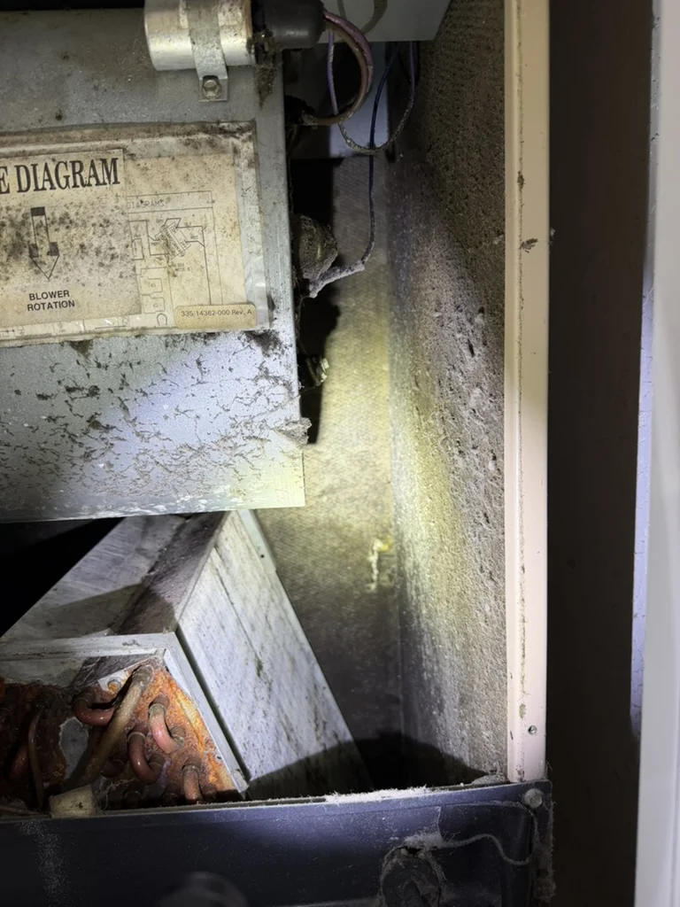 Suspected microbial growth inside residential HVAC air handler