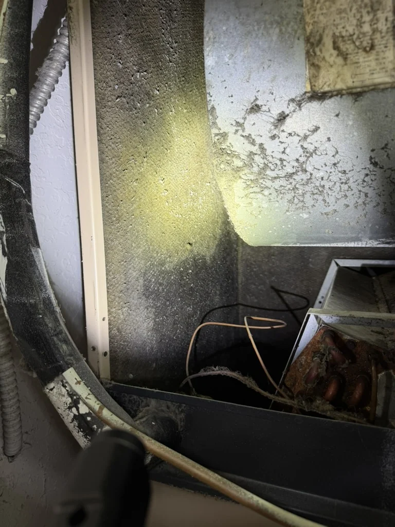 Contamination on internal insulation beside an HVAC blower housing