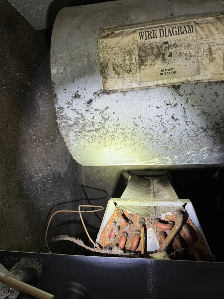 Heavy accumulation inside HVAC blower compartment above the evaporator coil