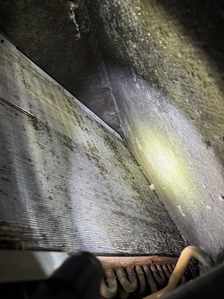 Accumulation on evaporator coil fins beside discolored HVAC insulation