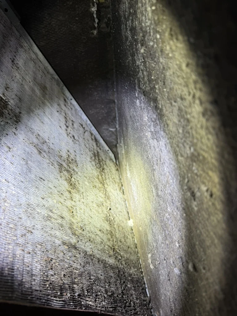 Close view of suspected microbial contamination on HVAC coil-side liner