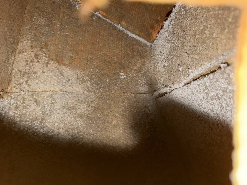 Suspected microbial contamination inside HVAC plenum