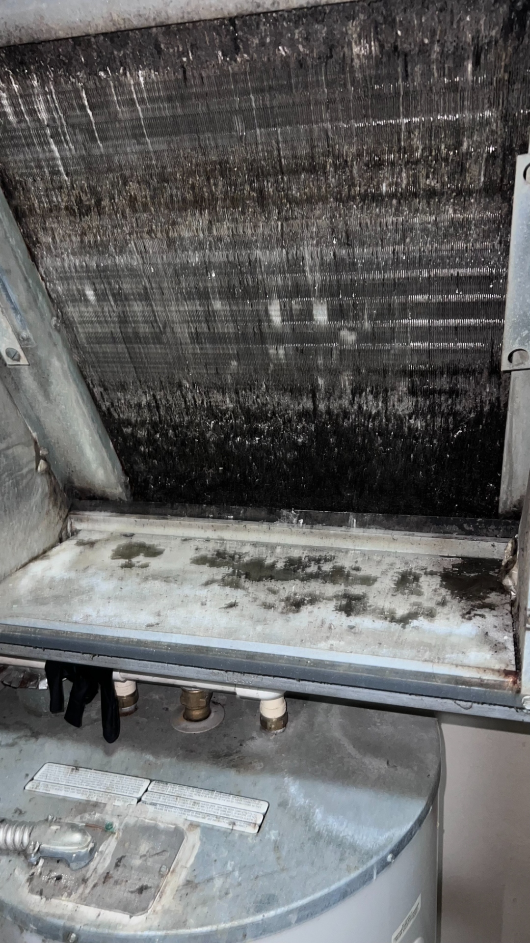 HVAC coil heavily fouled with microbial growth found during an air handler inspection