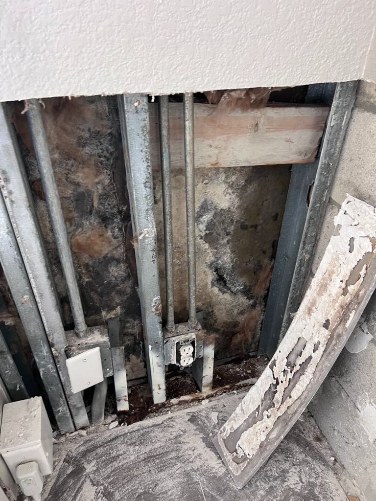 Wall cavity behind a PTAC sleeve showing extensive mold growth on framing and insulation