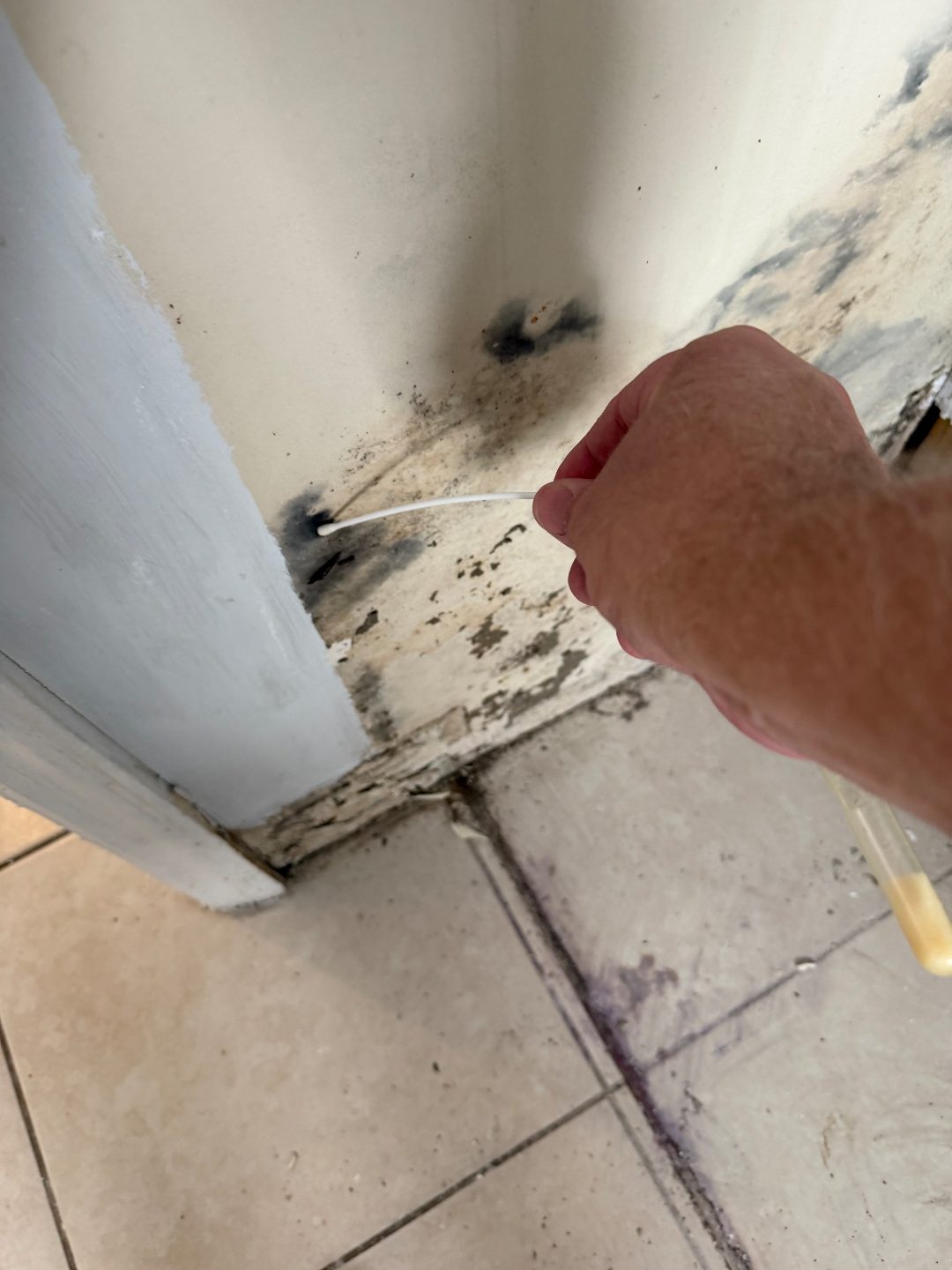 Hand holding a moisture meter probe against a stained wall corner near the floor