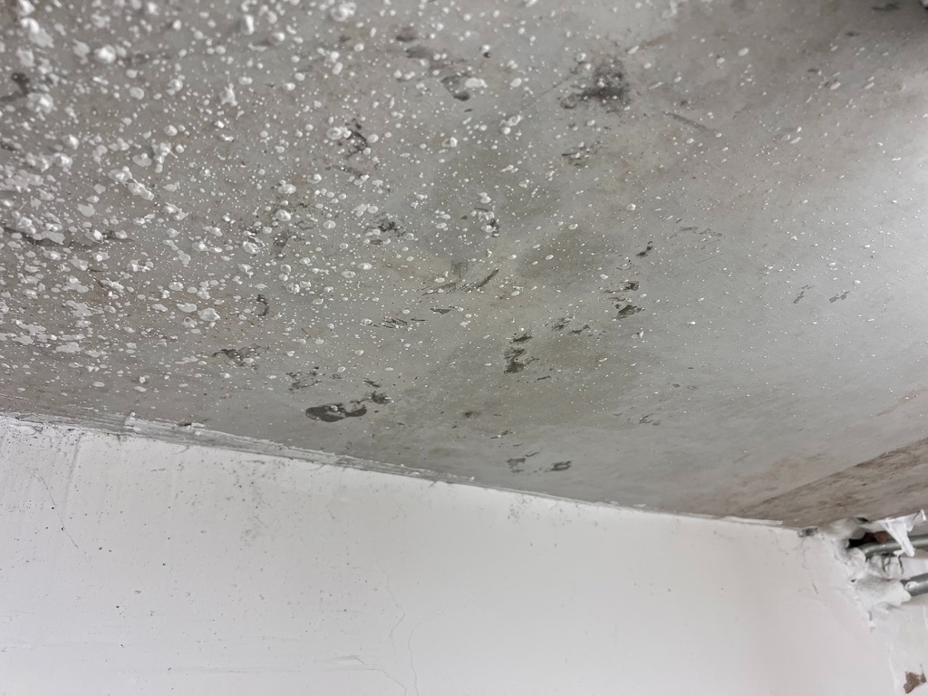 Visible suspected microbial growth and staining on the ceiling above the master bathroom shower area