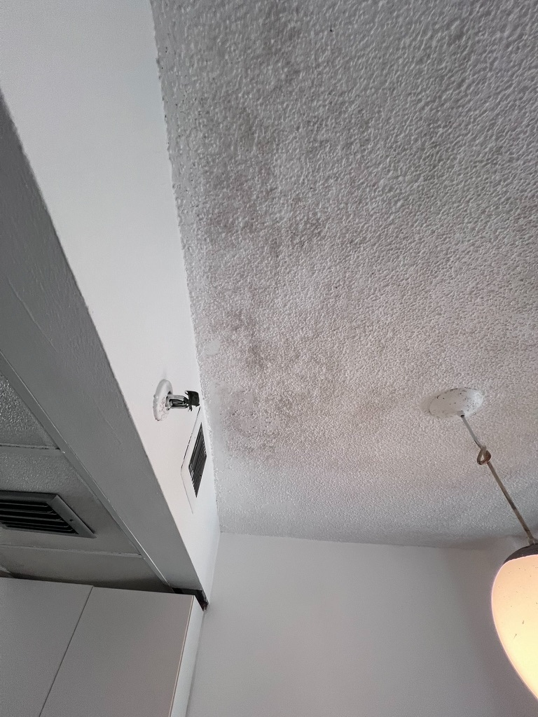 Ceiling staining near the kitchen soffit consistent with a history of moisture intrusion