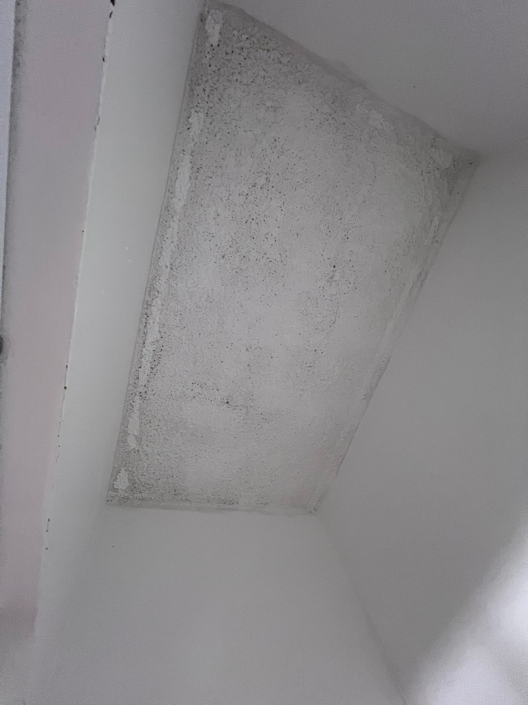 Textured ceiling inside a closet showing suspected microbial staining used as a limited access point
