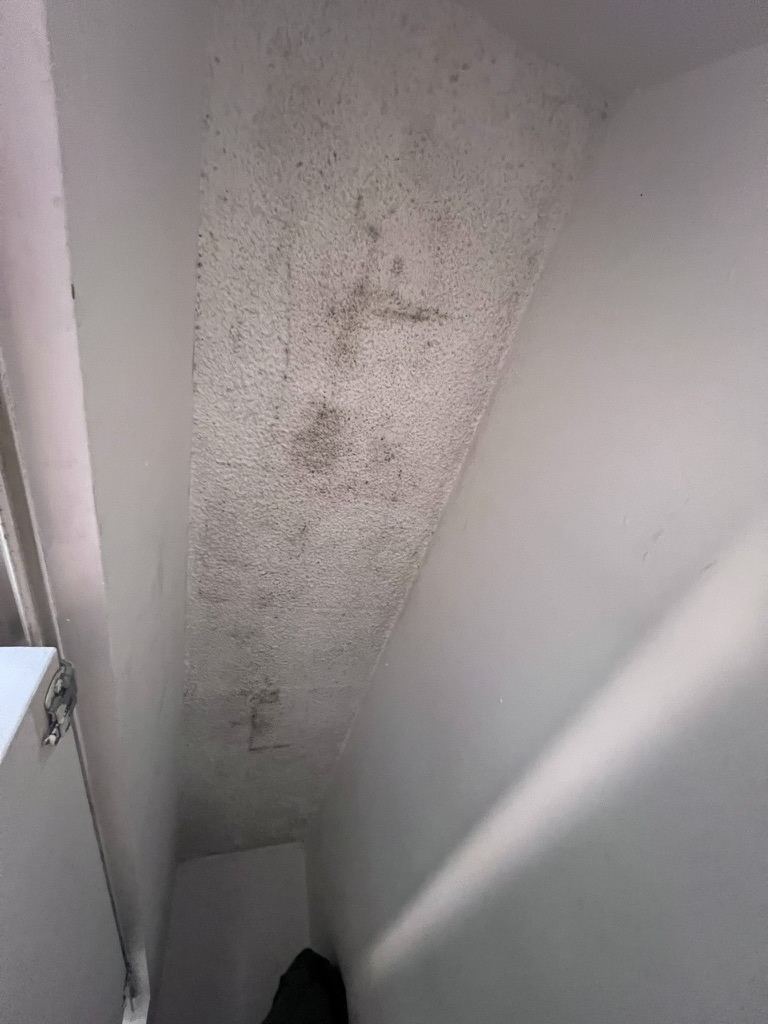 Sloped ceiling assembly showing dark staining patterns consistent with prolonged moisture exposure