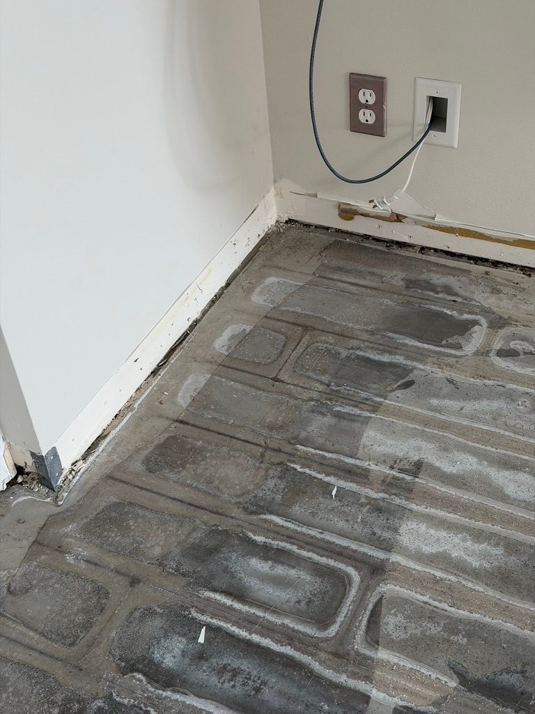 Room corner in a stripped interior showing growth along the lower edge of a painted baseboard