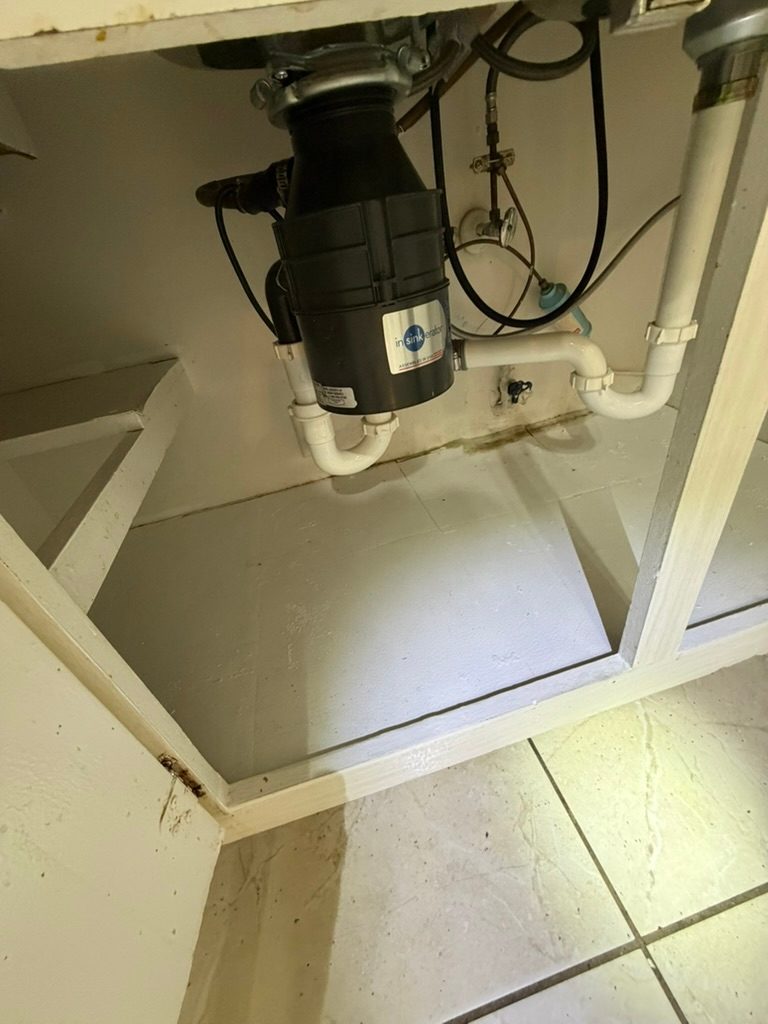 Interior of a sink base cabinet showing a food waste disposal unit and supply lines