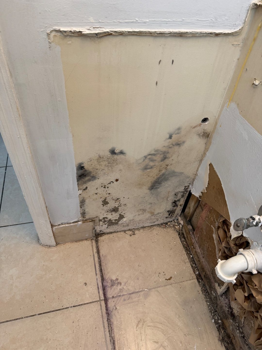 Close-up of dark staining on an interior wall corner near the floor